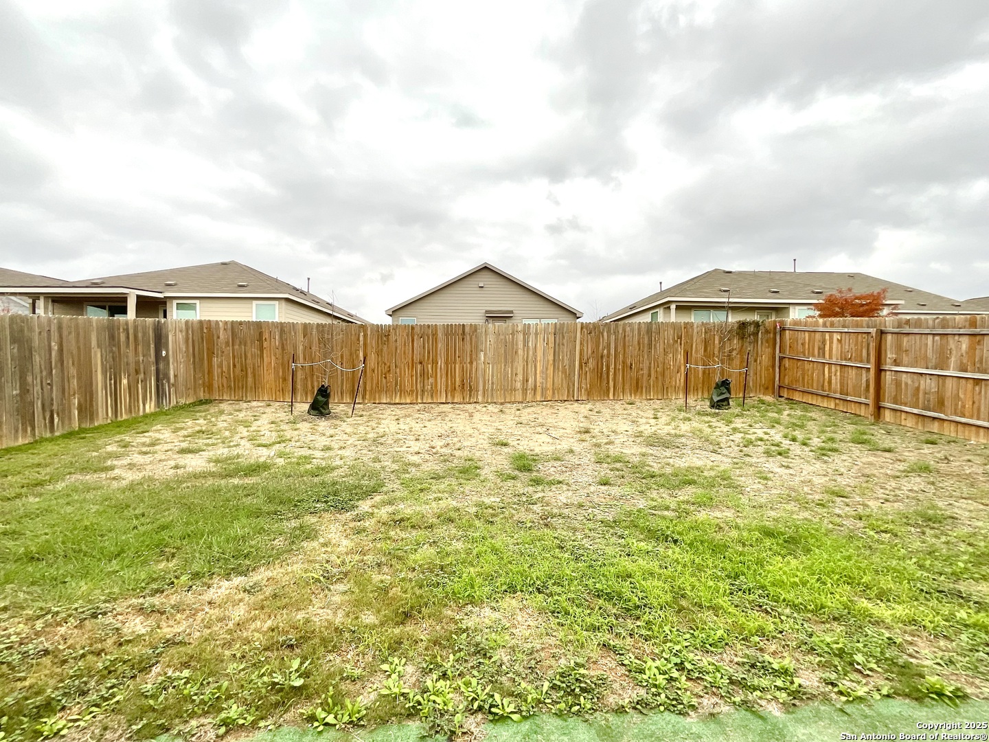 10751 Margarita Loop Converse, TX 78109 - Photo 33 of 40 a front view of a house with a yard
