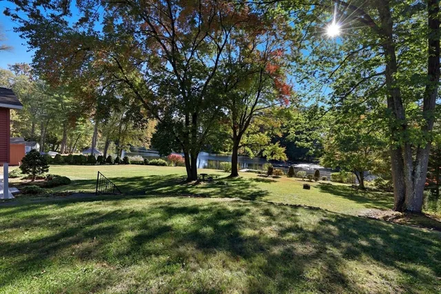 a view of a park with tree s