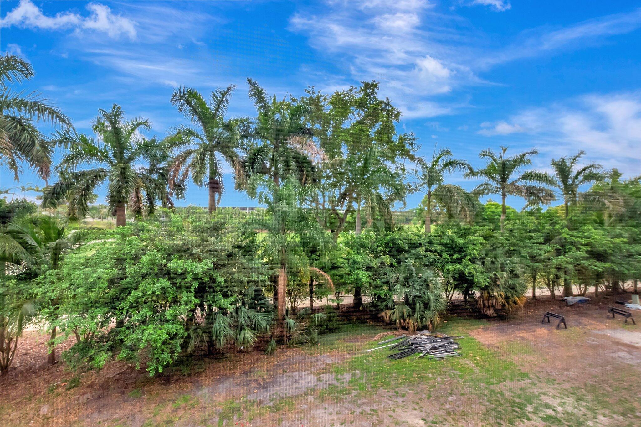 6320 Boca Del Mar Drive, Unit 301 Boca Raton, FL 33433 - Photo 33 of 46 a backyard of a house with lots of green space