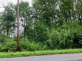 County Line Road Phoenix, NY 13135 - Photo 2 of 4 Power pole public