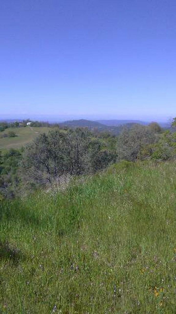 0 Lazy L Summit Road Coarsegold, CA 93614 - Photo 3 of 9 Gallery Image 3