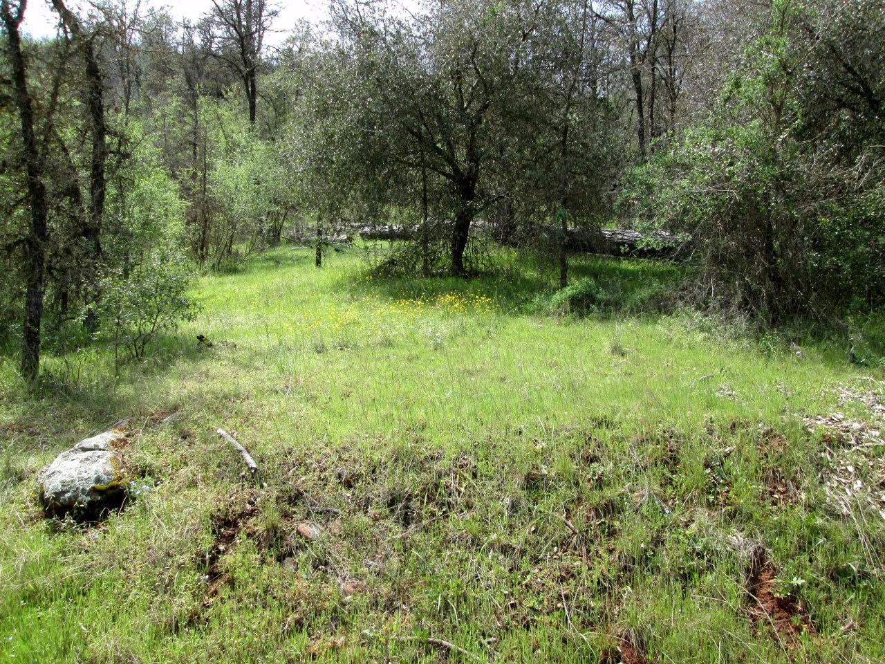 0 Lazy L Summit Road Coarsegold, CA 93614 - Photo 4 of 9 Gallery Image 4