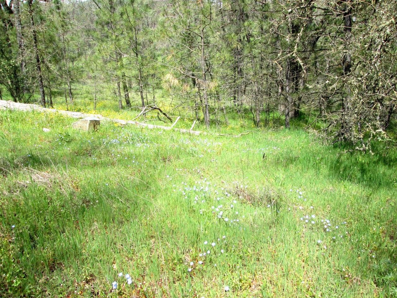 0 Lazy L Summit Road Coarsegold, CA 93614 - Photo 5 of 9 Gallery Image 5