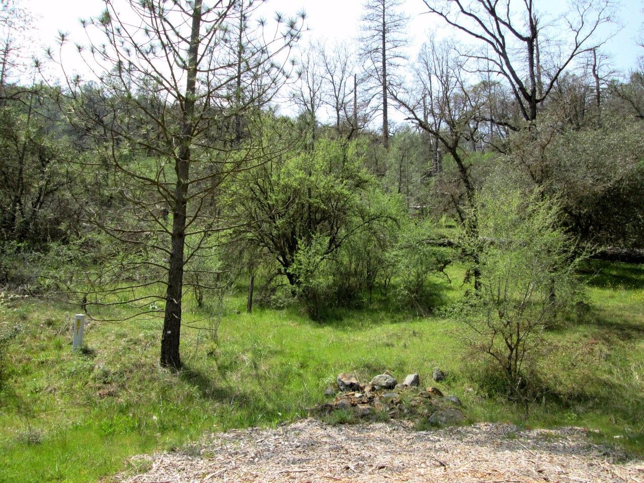 0 Lazy L Summit Road Coarsegold, CA 93614 - Photo 7 of 9 Gallery Image 7