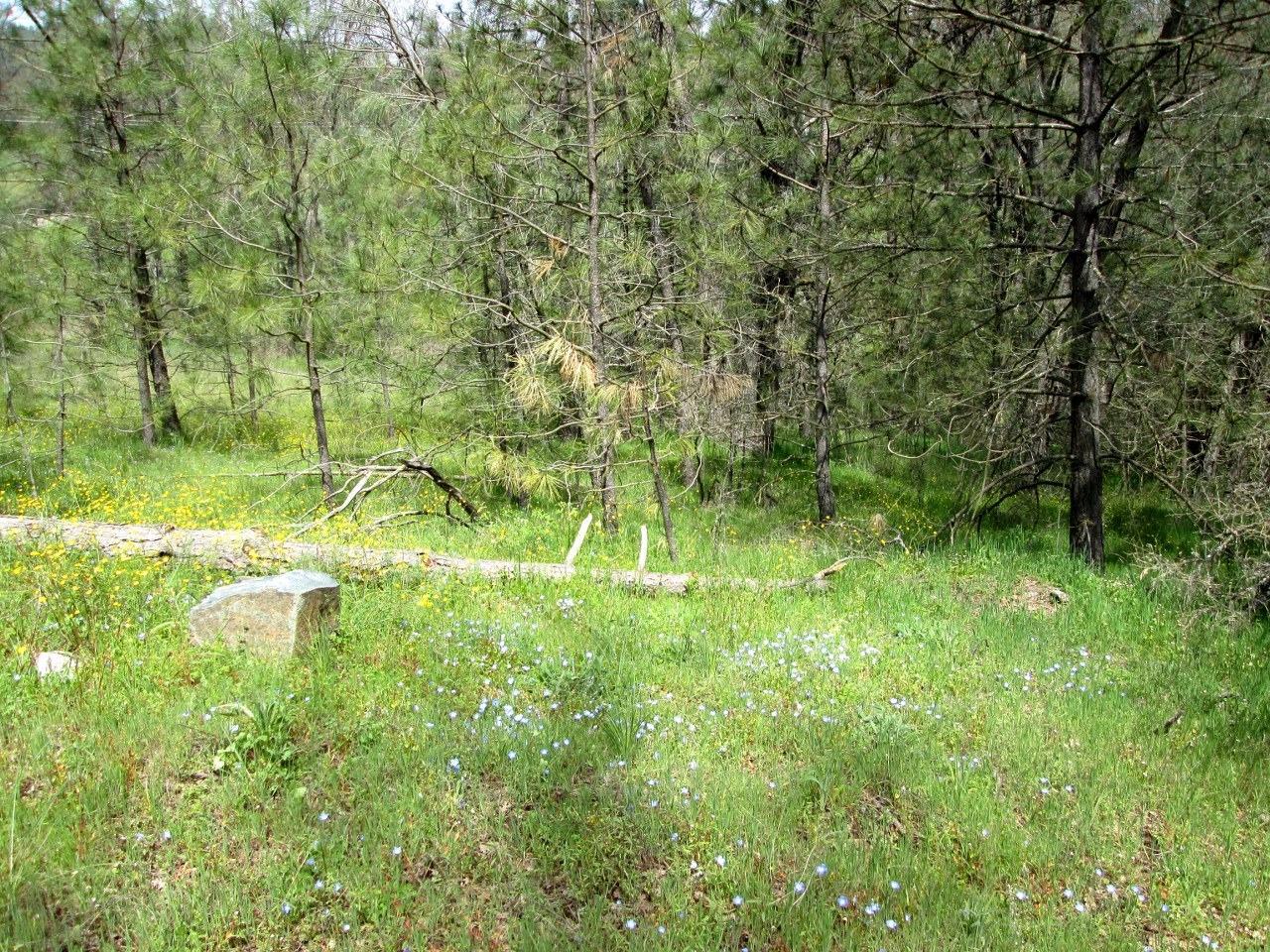 0 Lazy L Summit Road Coarsegold, CA 93614 - Photo 8 of 9 Gallery Image 8
