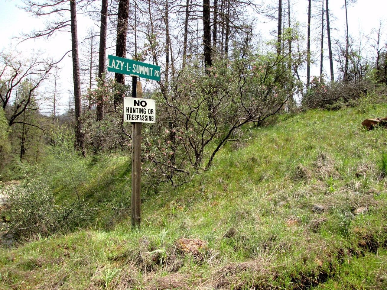 0 Lazy L Summit Road Coarsegold, CA 93614 - Photo 9 of 9 Gallery Image 9