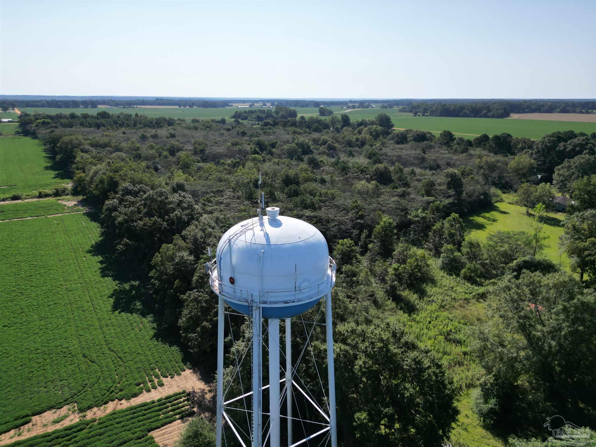 0 Wiggins Road Frisco City, AL 36445 - Photo 1 of 15