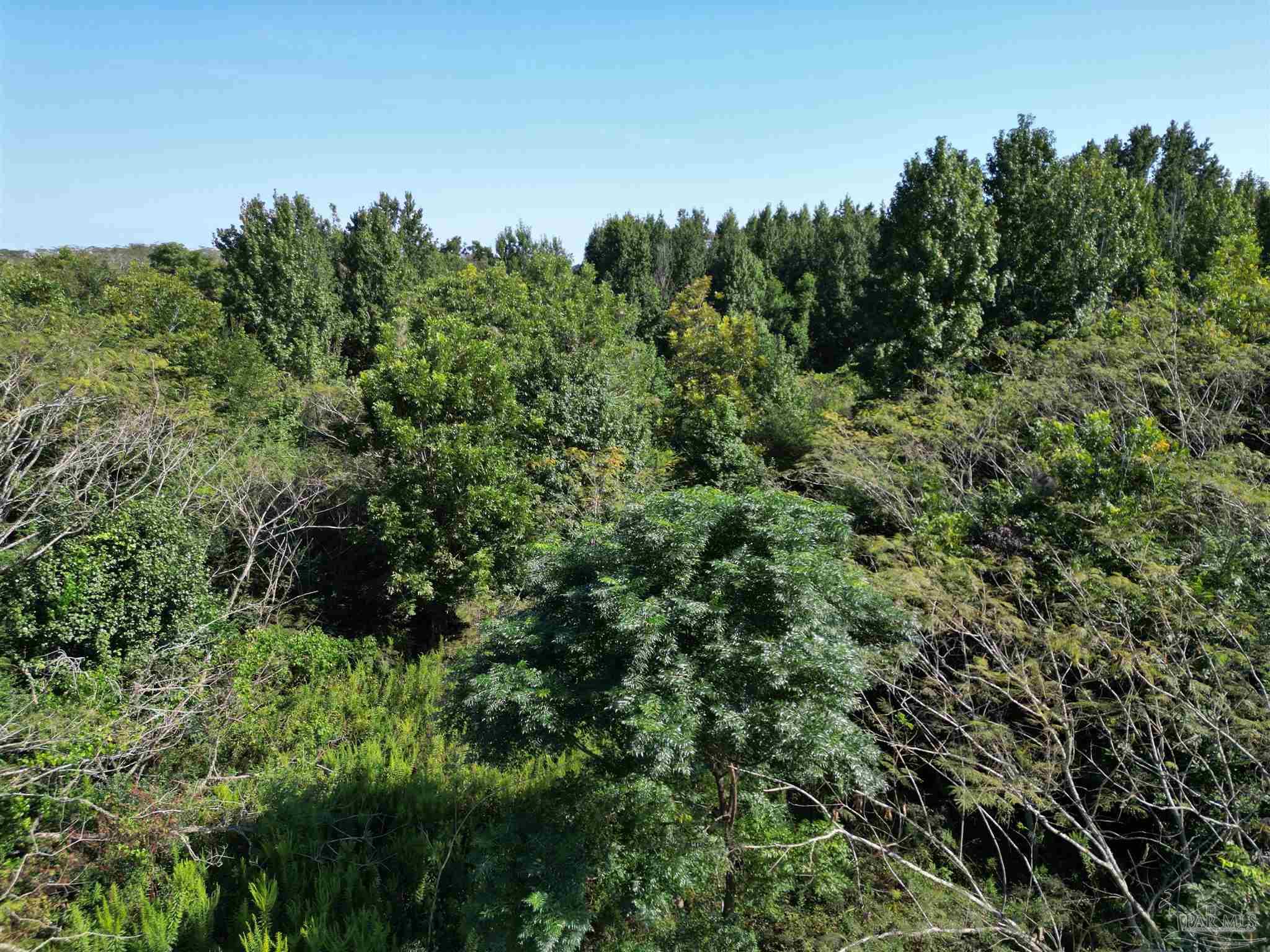 0 Wiggins Road Frisco City, AL 36445 - Photo 12 of 15