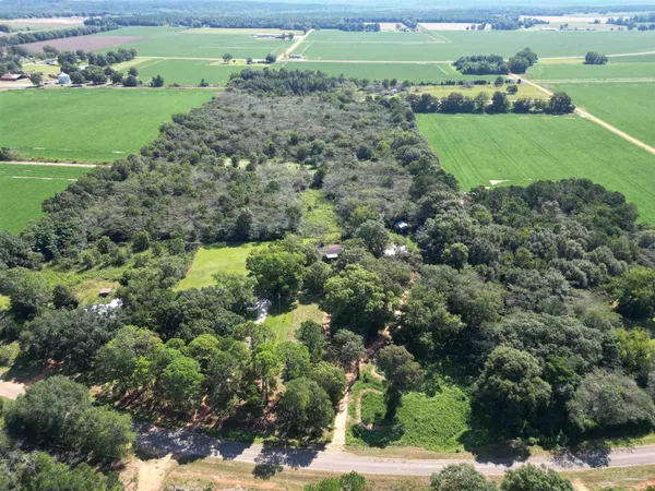 $104,500 | 0 Wiggins Road, Frisco City, AL 36445