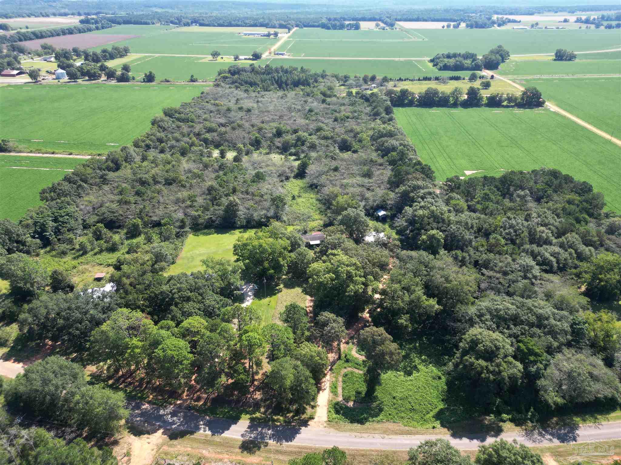 0 Wiggins Road Frisco City, AL 36445 - Photo 13 of 15