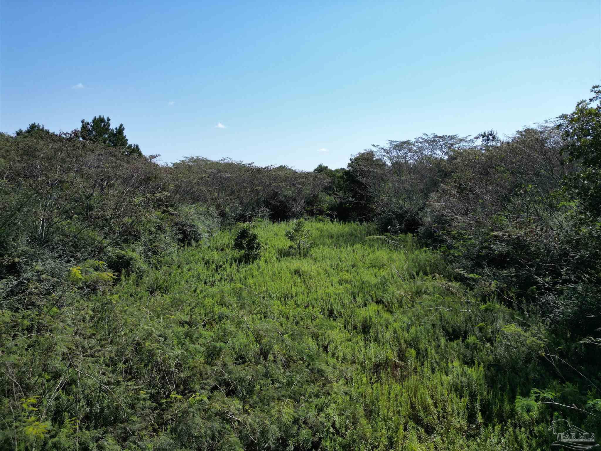 0 Wiggins Road Frisco City, AL 36445 - Photo 14 of 15