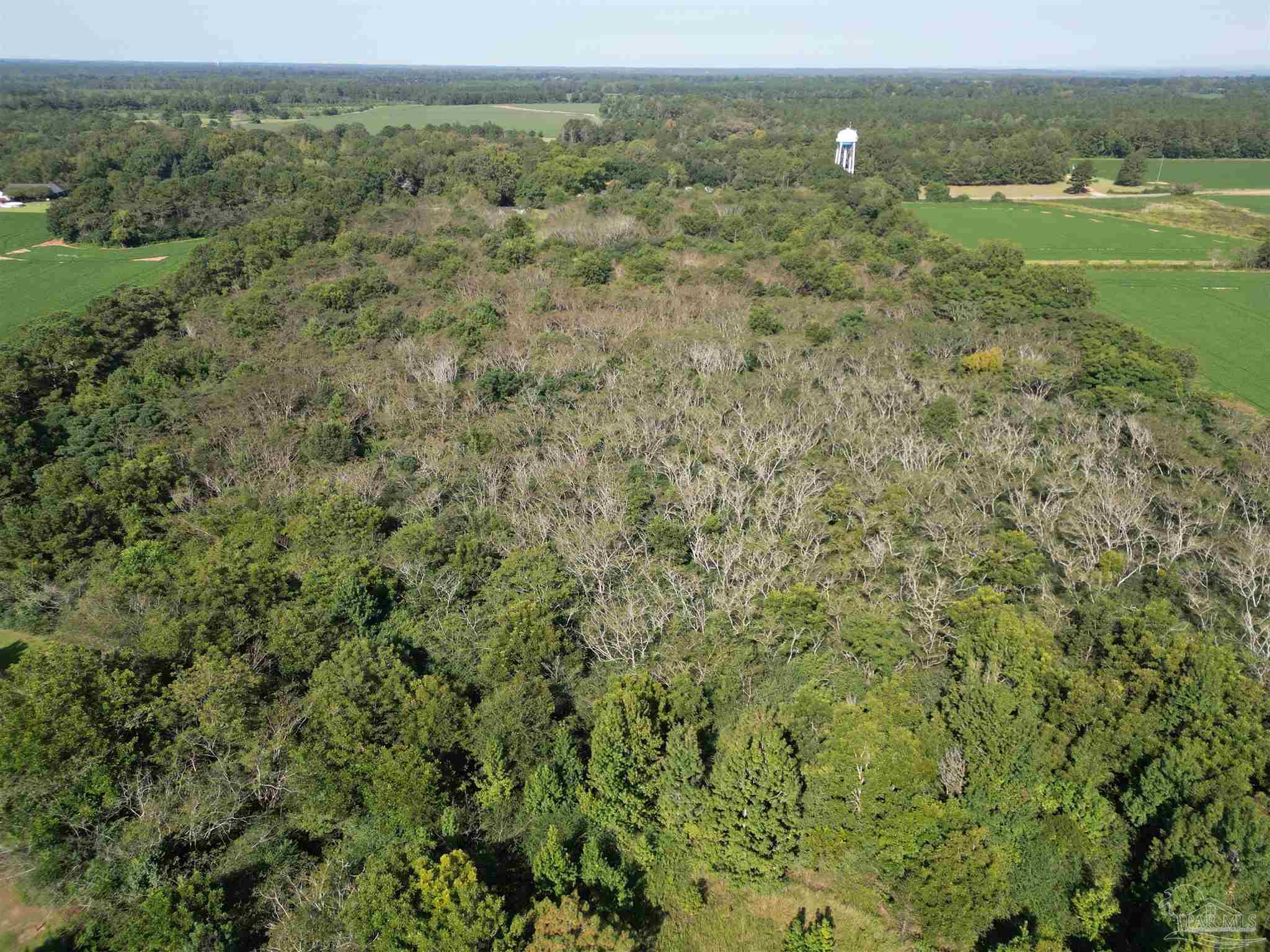 0 Wiggins Road Frisco City, AL 36445 - Photo 4 of 15