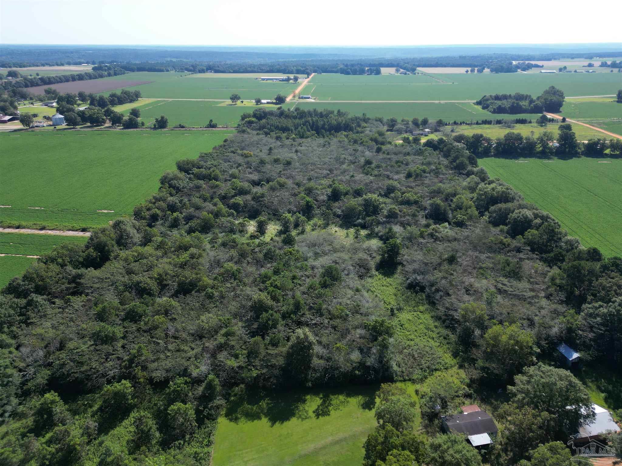 0 Wiggins Road Frisco City, AL 36445 - Photo 5 of 15