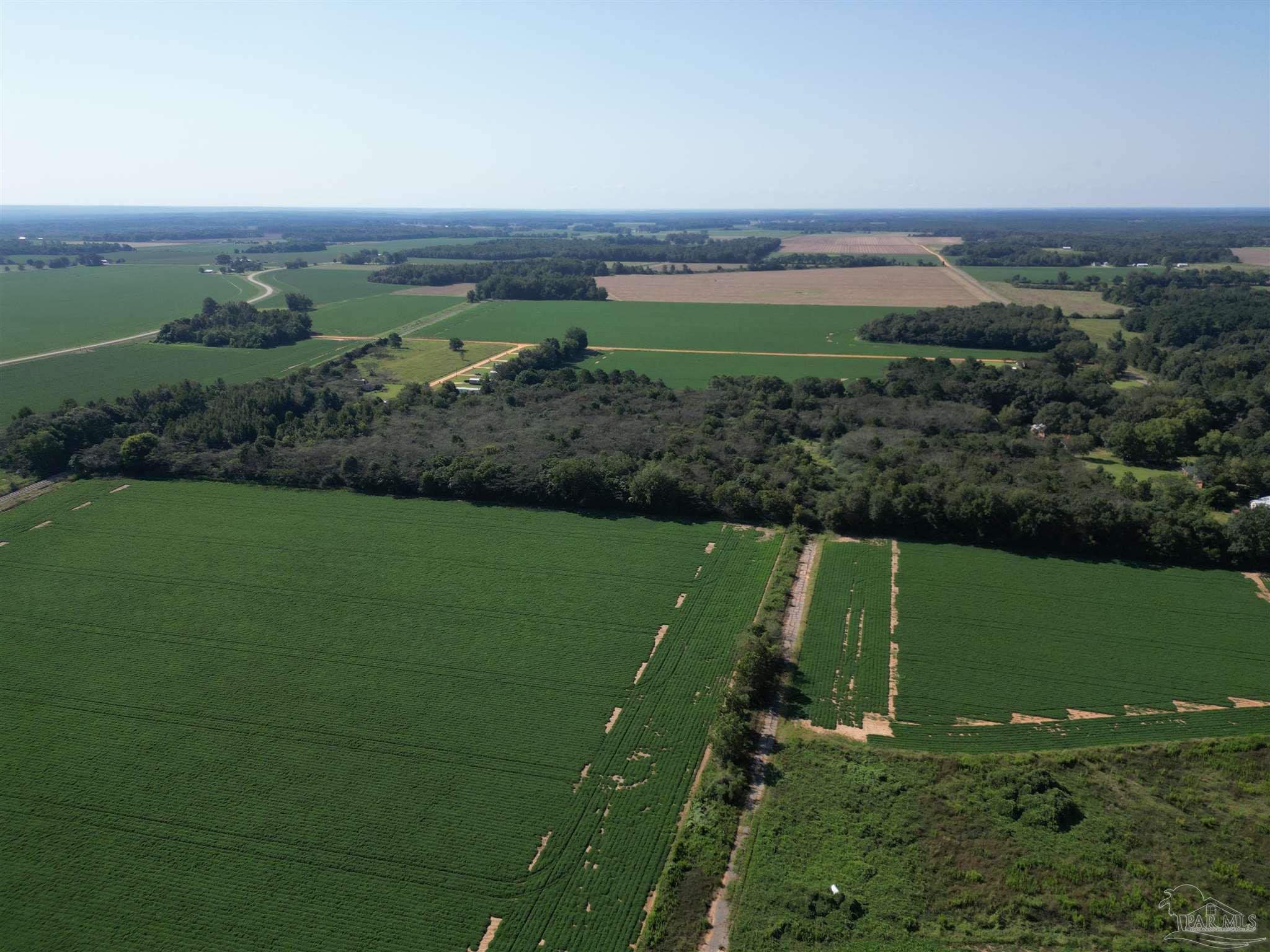 0 Wiggins Road Frisco City, AL 36445 - Photo 6 of 15