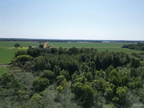 $104,500 | 0 Wiggins Road, Frisco City, AL 36445