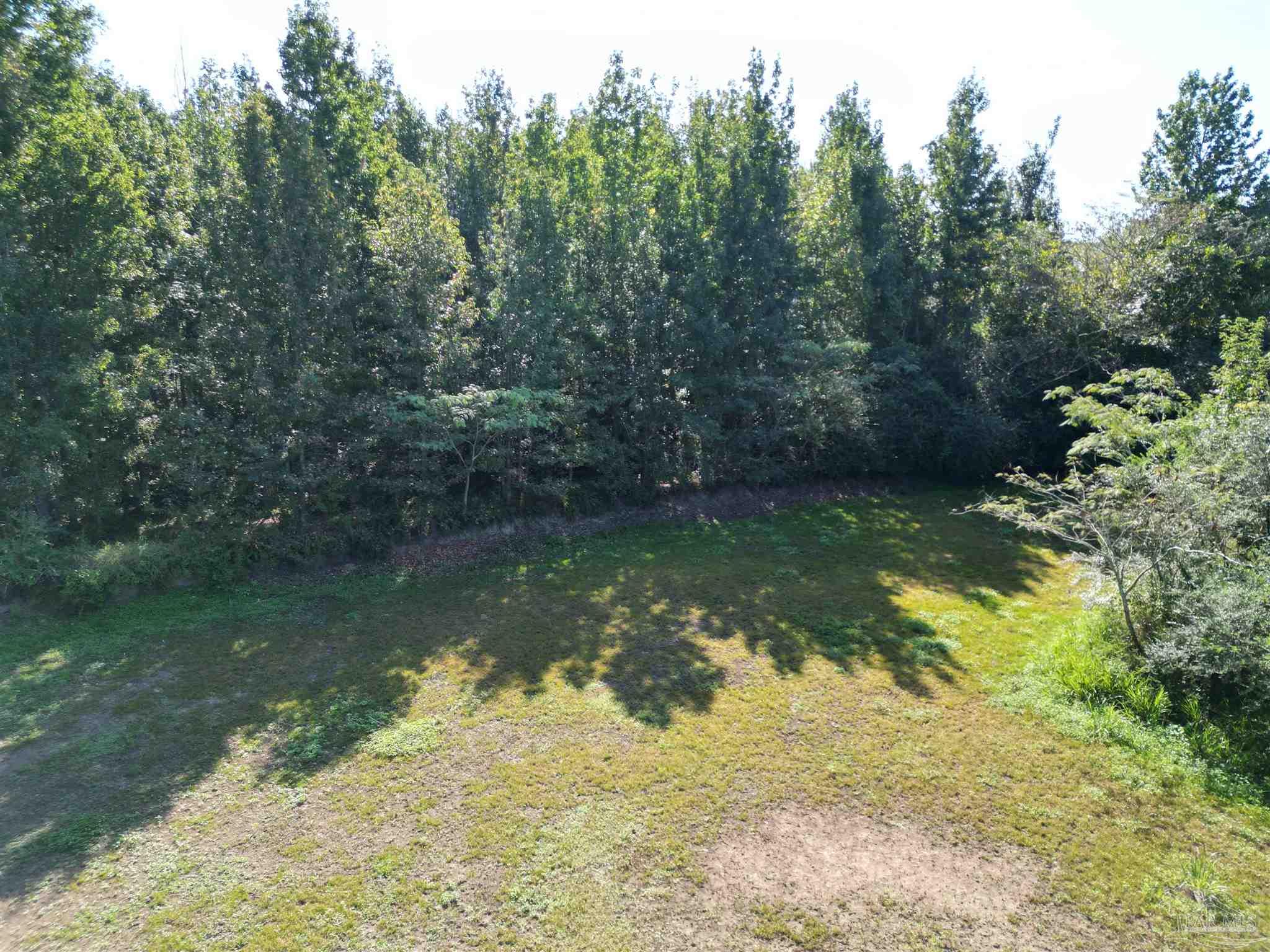 0 Wiggins Road Frisco City, AL 36445 - Photo 8 of 15