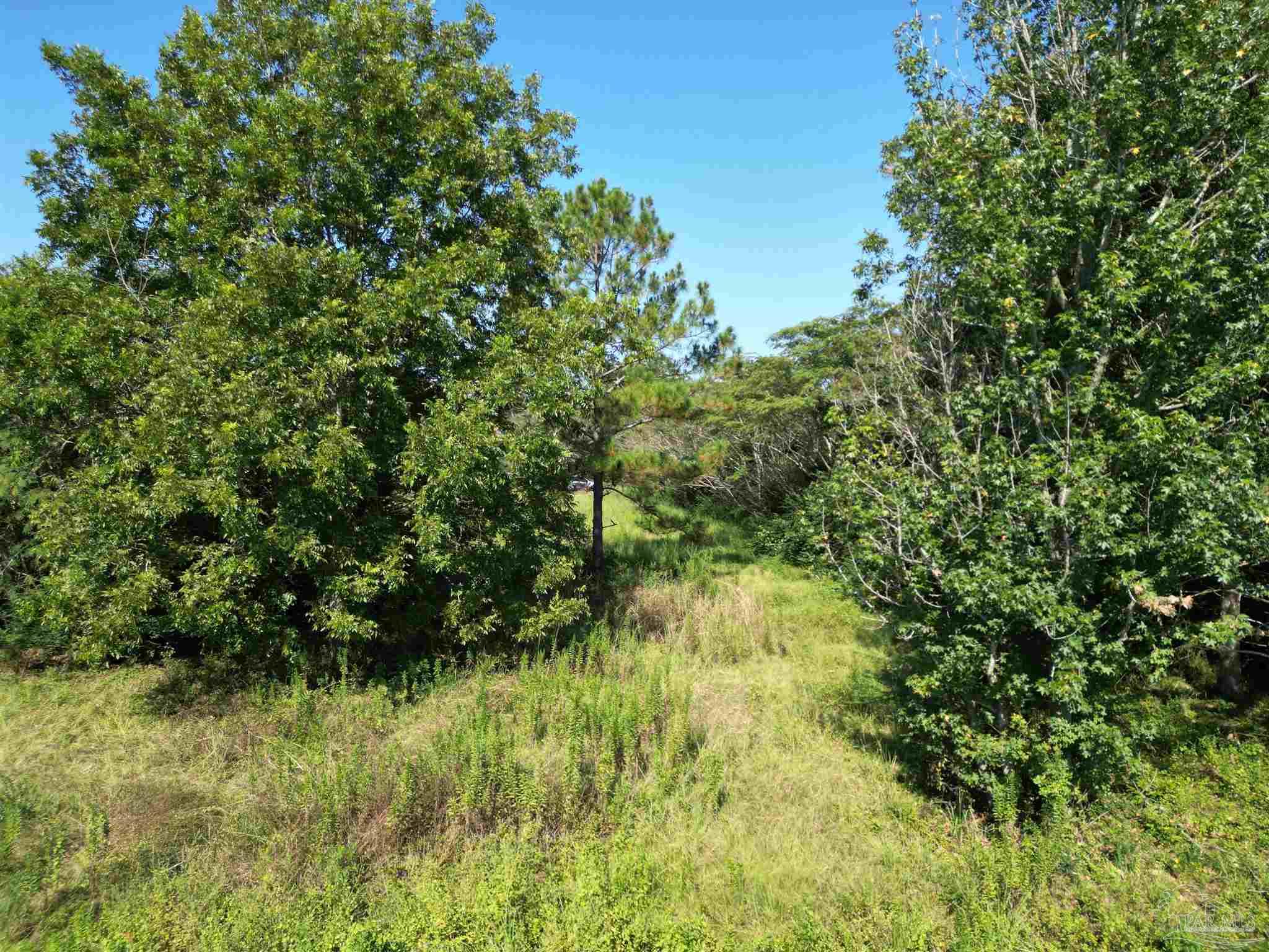 0 Wiggins Road Frisco City, AL 36445 - Photo 10 of 15