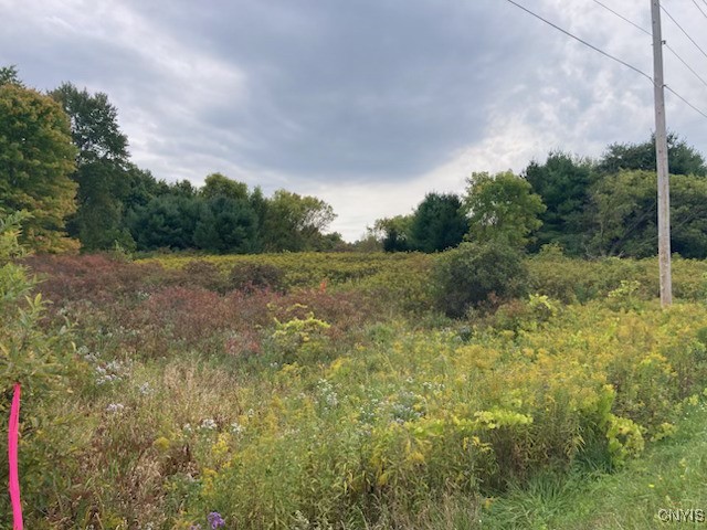 0 Link Road Rome, NY 13440 - Photo 2 of 6