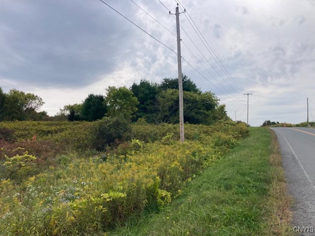 0 Link Road Rome, NY 13440 - Photo 3 of 6