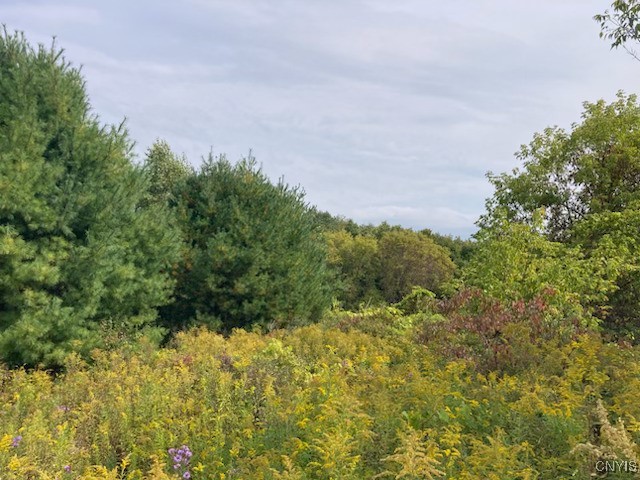 0 Link Road Rome, NY 13440 - Photo 4 of 6