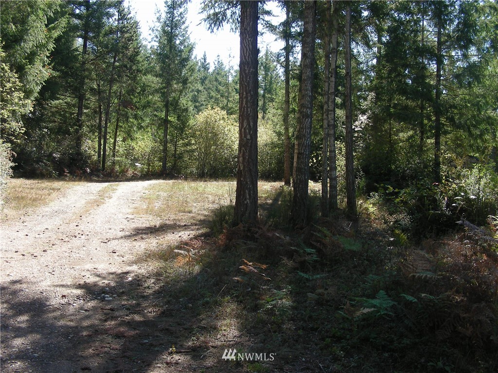 320 East Underline Road Belfair, WA 98528 - Photo 2 of 15 Gallery Image 2