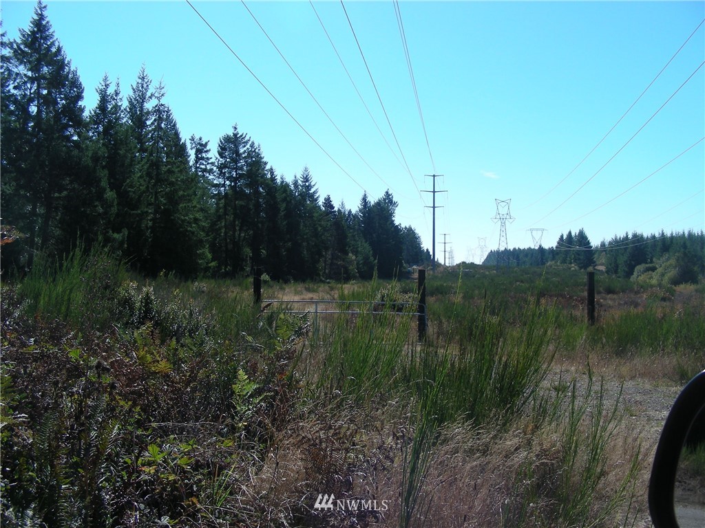 320 East Underline Road Belfair, WA 98528 - Photo 12 of 15 Gallery Image 12