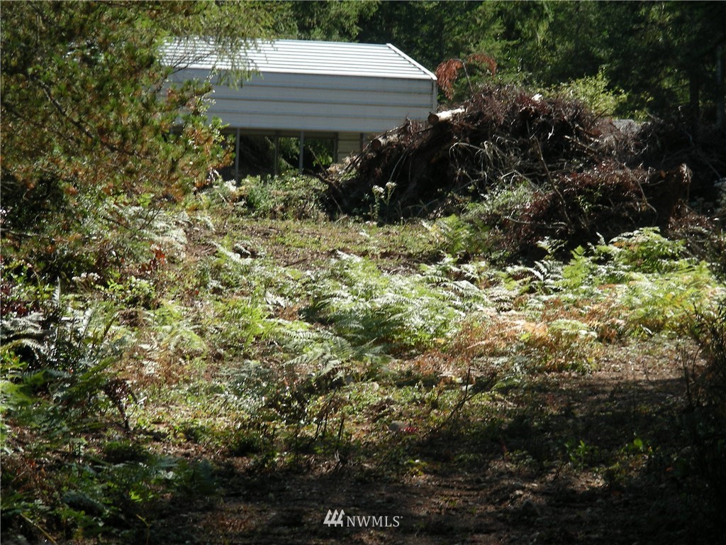 320 East Underline Road Belfair, WA 98528 - Photo 7 of 15 Gallery Image 7