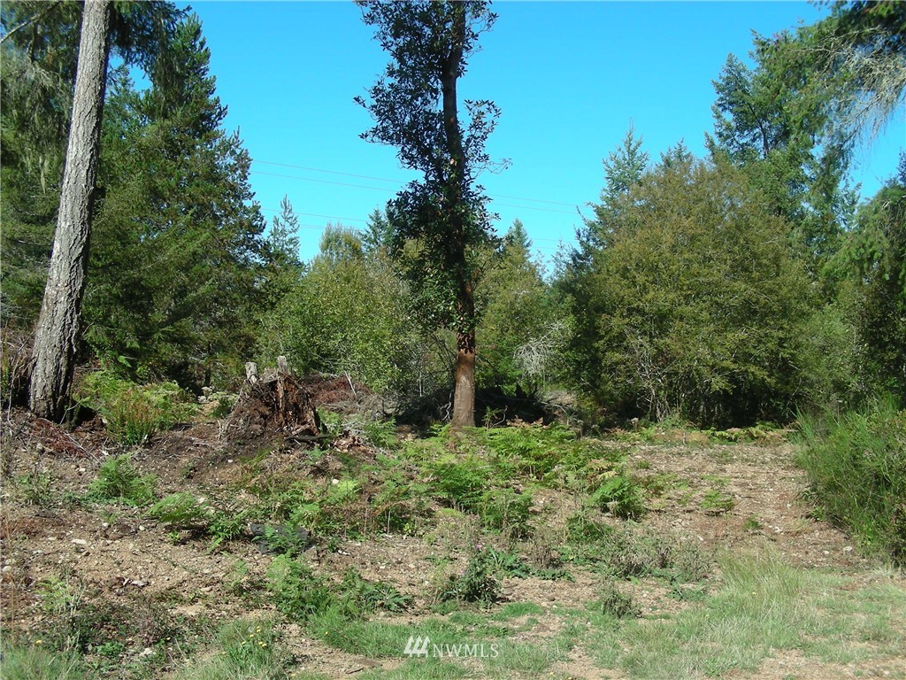 320 East Underline Road Belfair, WA 98528 - Photo 8 of 15 Gallery Image 8