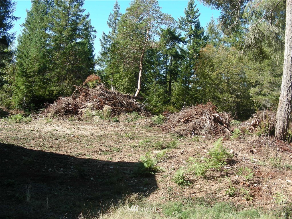 320 East Underline Road Belfair, WA 98528 - Photo 9 of 15 Gallery Image 9