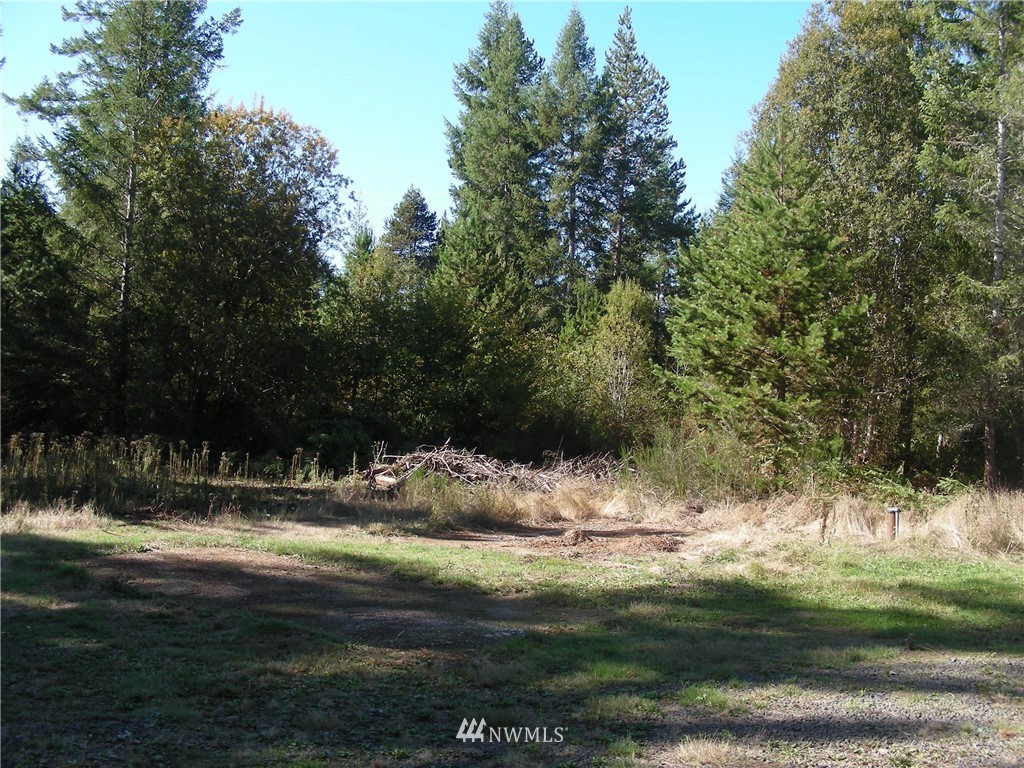 320 East Underline Road Belfair, WA 98528 - Photo 10 of 15 Gallery Image 10