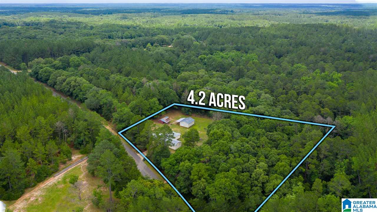11249 Rockhole Bridge Road Florala, AL 36442 - Photo 2 of 41
