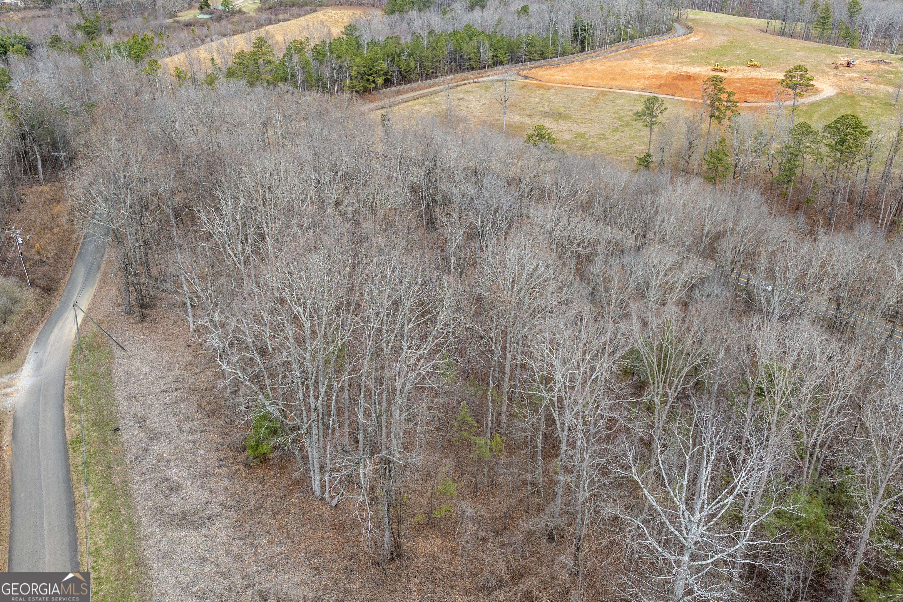 0 Cowart Mountain Tract 2 Road Jasper, GA 30143 - Photo 19 of 19