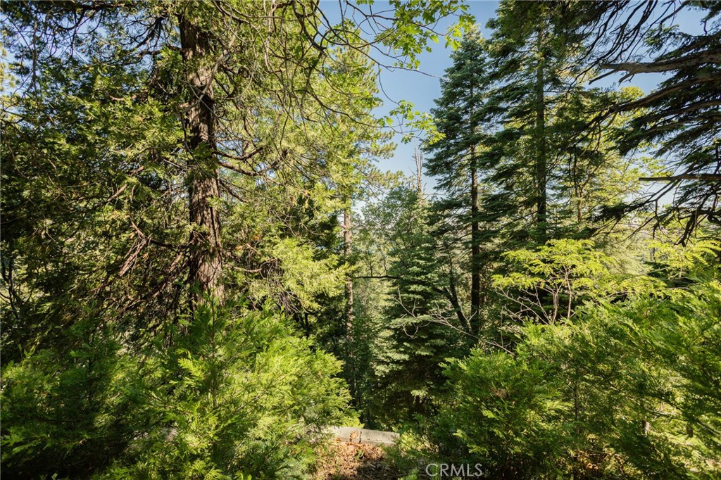 746 Blue Ridge Drive Skyforest, CA 92385 - Photo 16 of 18 Forest setting