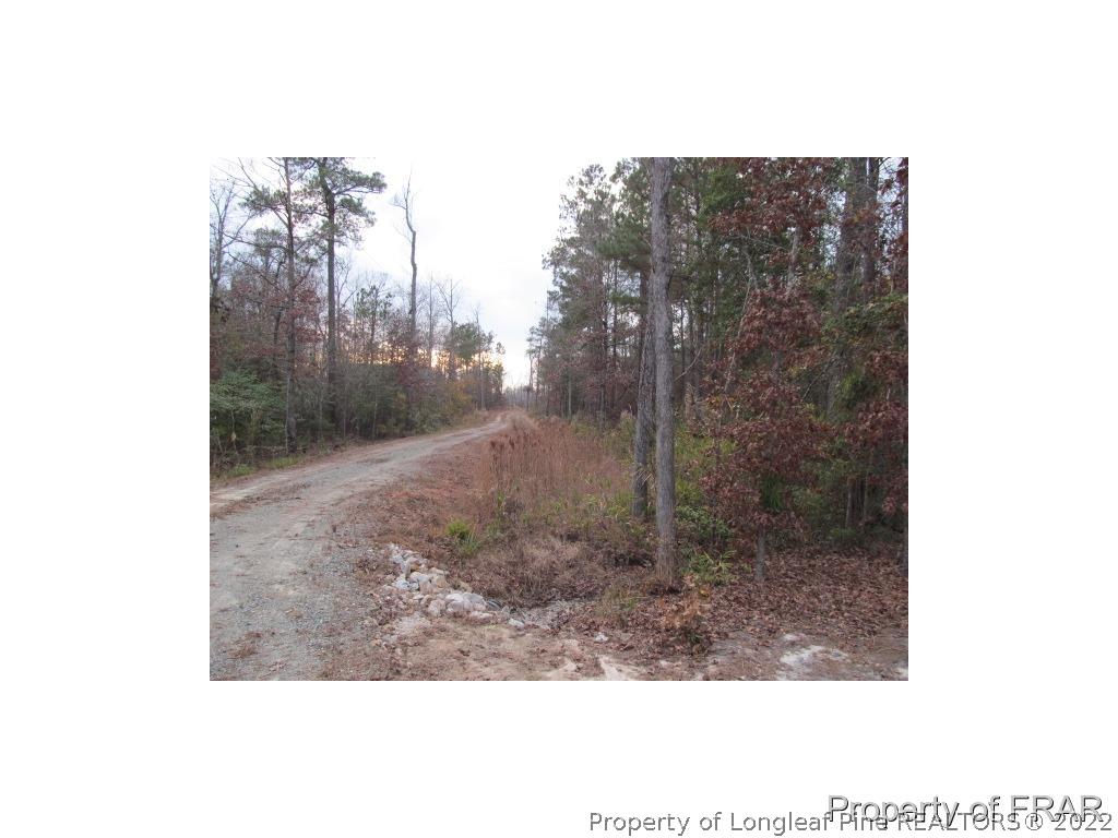 570 Taylor Road Spring Lake, NC 28390 - Photo 5 of 17 Gallery Image 5