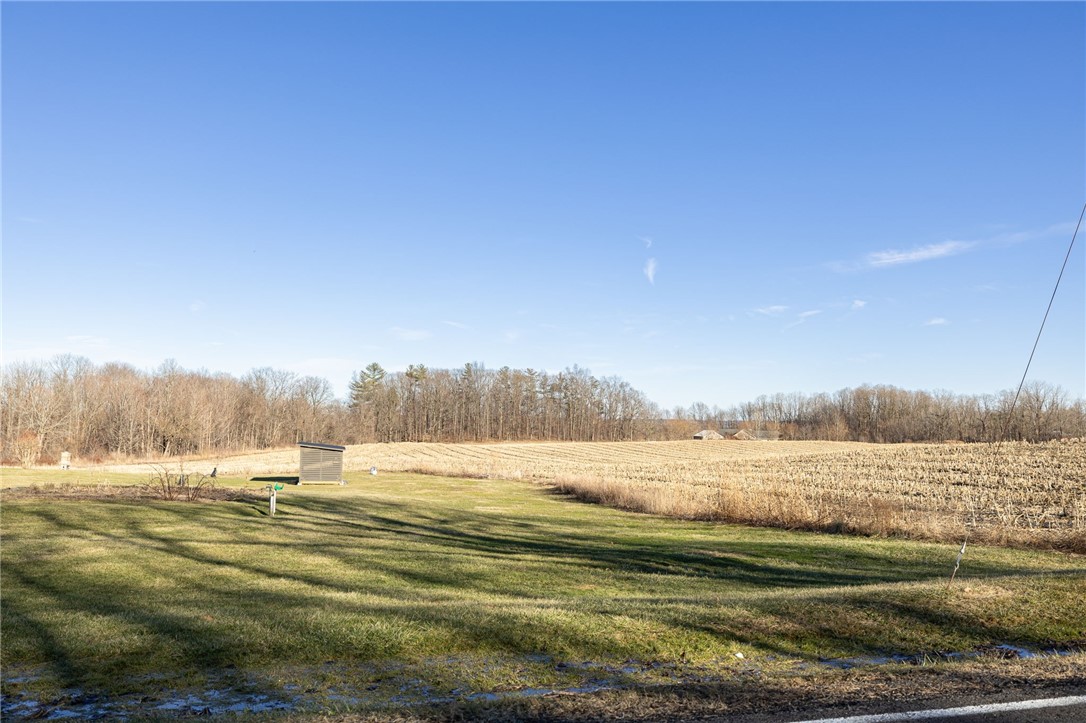 Cramer Road Canandaigua, NY 14424 - Photo 15 of 35