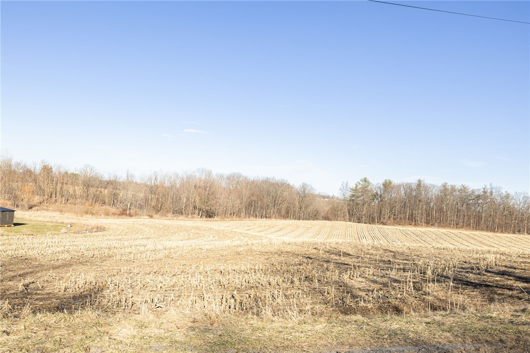 Cramer Road Canandaigua, NY 14424 - Photo 18 of 35