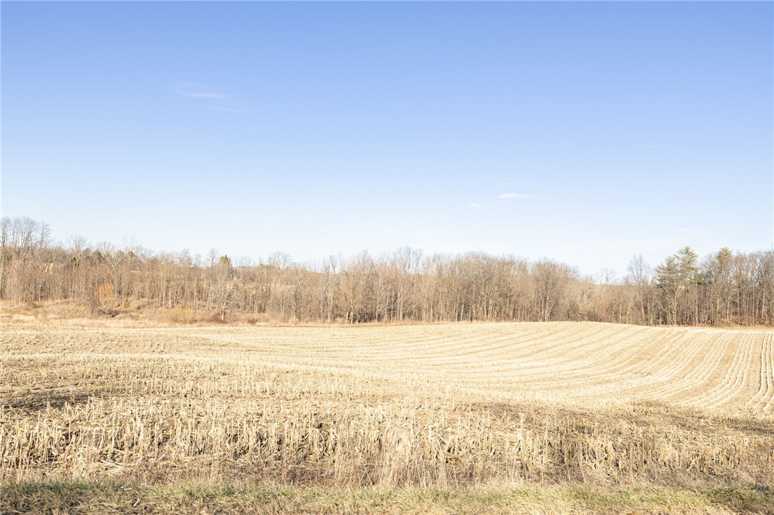 Cramer Road Canandaigua, NY 14424 - Photo 19 of 35