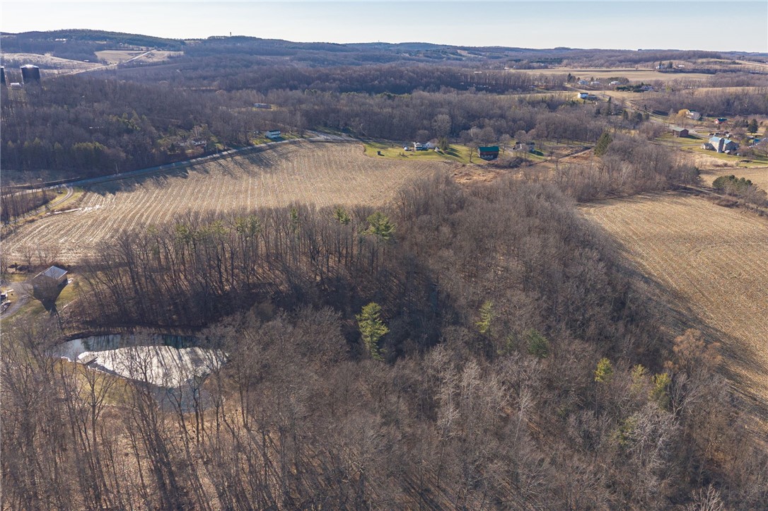 Cramer Road Canandaigua, NY 14424 - Photo 24 of 35