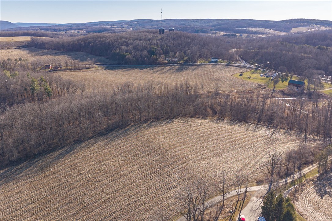 Cramer Road Canandaigua, NY 14424 - Photo 26 of 35