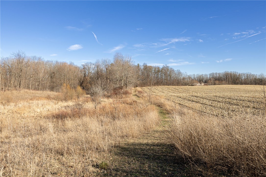 Cramer Road Canandaigua, NY 14424 - Photo 3 of 35