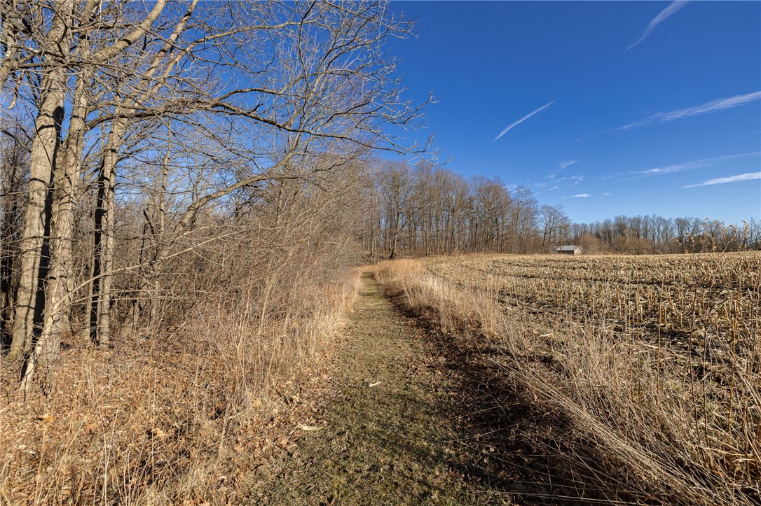 Cramer Road Canandaigua, NY 14424 - Photo 7 of 35