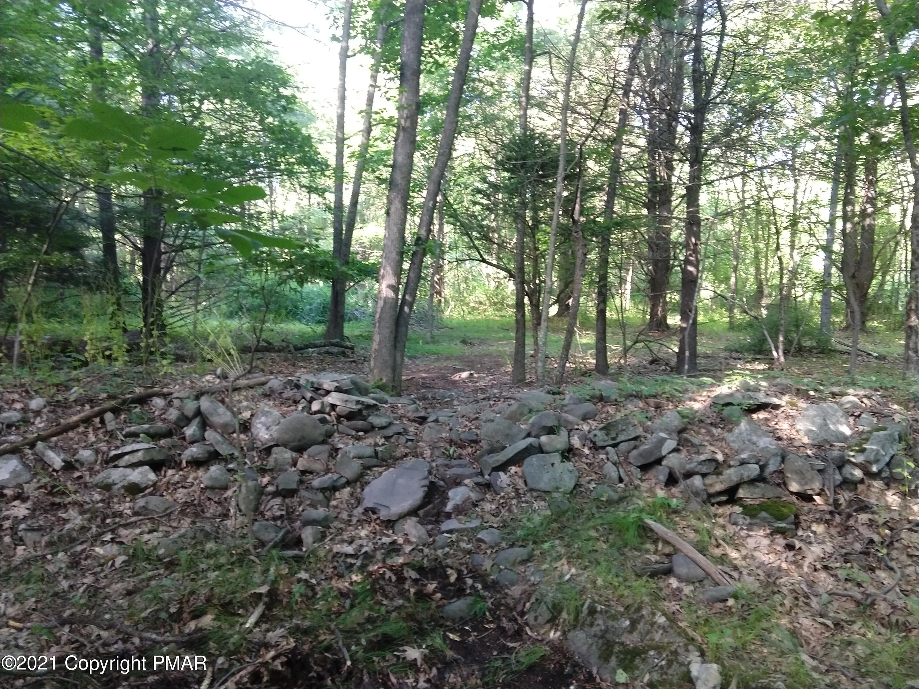 259 Hay Road Stroudsburg, PA 18360 - Photo 103 of 137 a view of a forest with trees in the background
