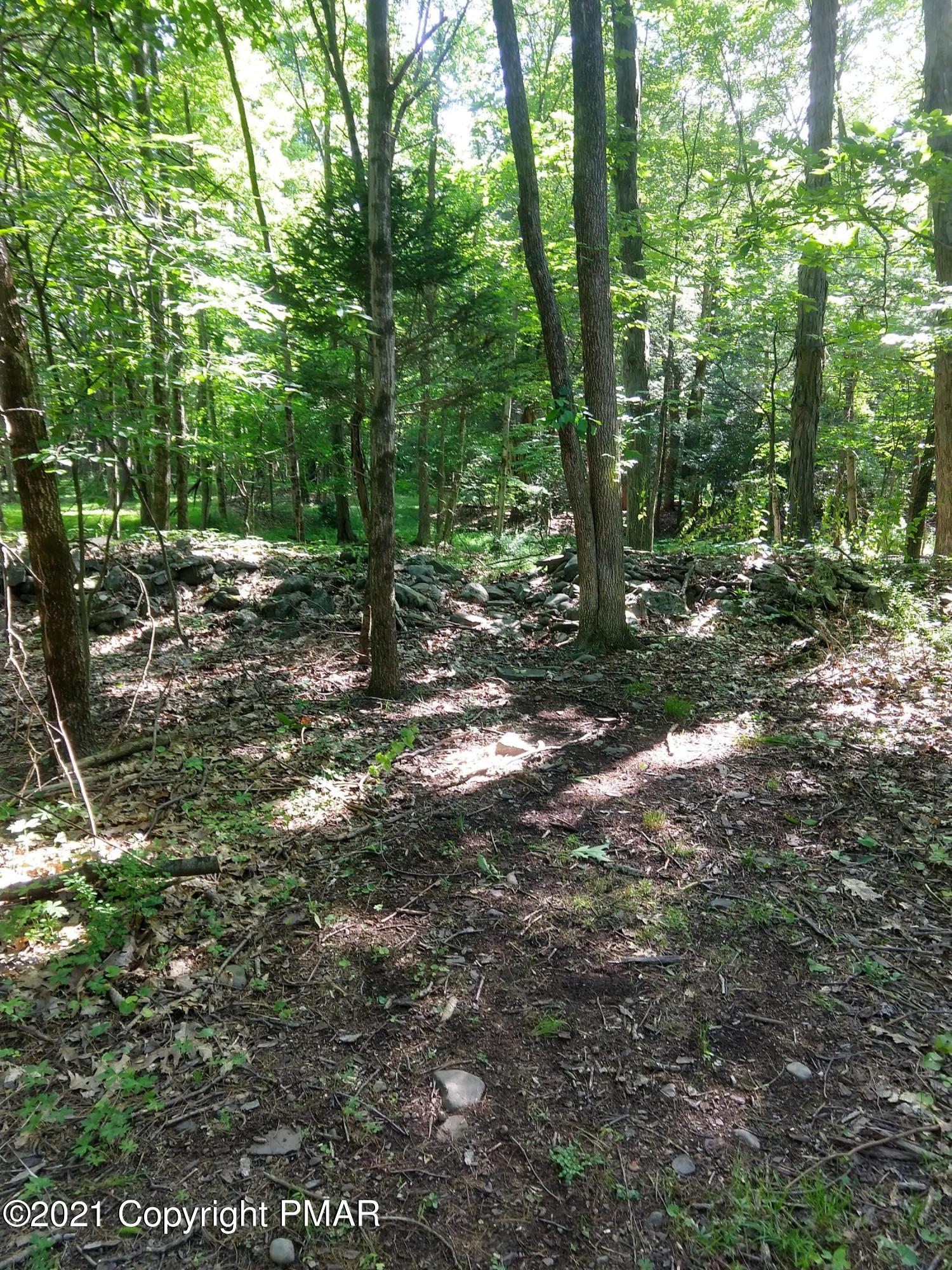 259 Hay Road Stroudsburg, PA 18360 - Photo 105 of 137 a view of a forest with trees