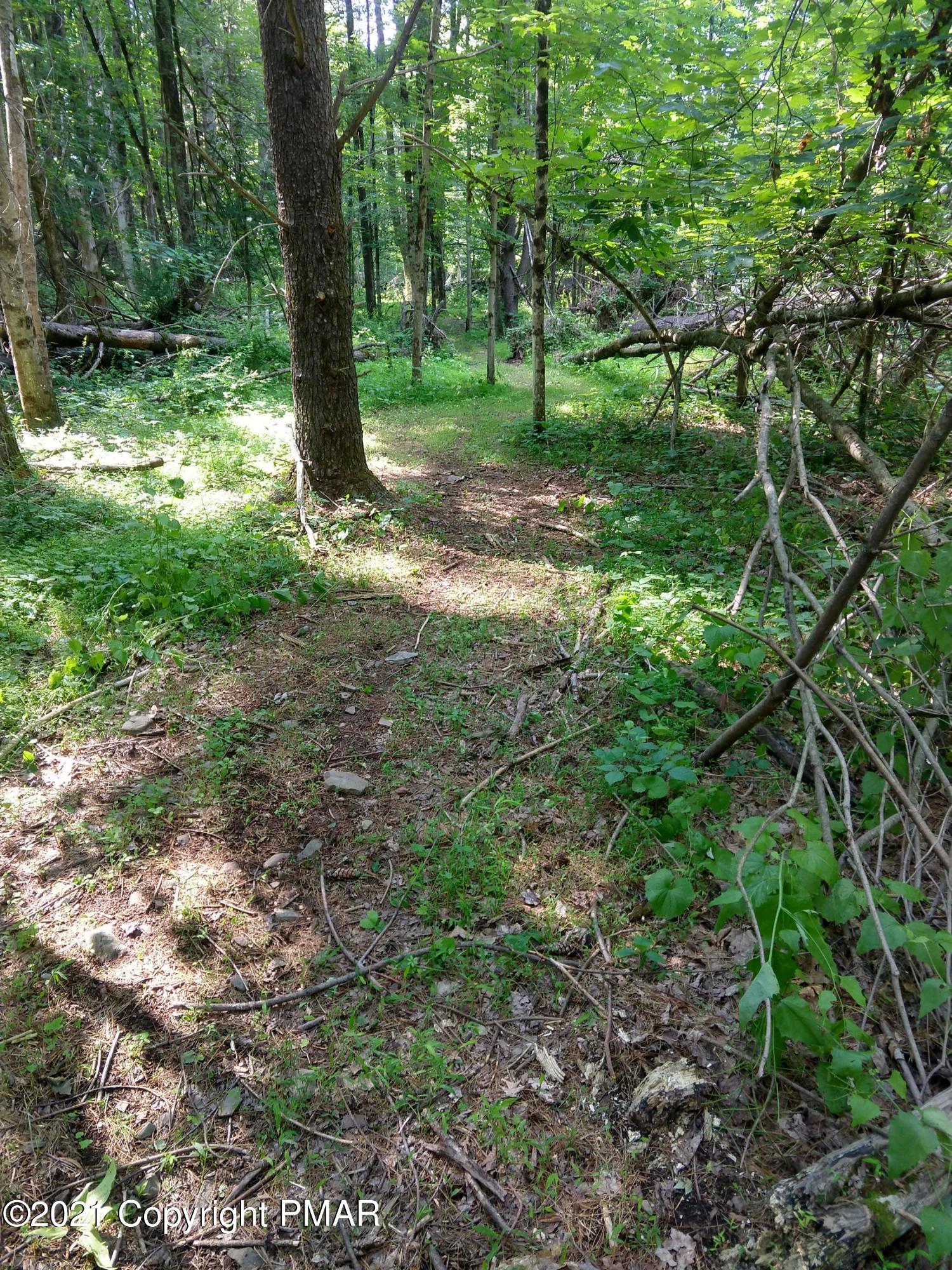 259 Hay Road Stroudsburg, PA 18360 - Photo 108 of 137 IMG_20210624_163822115_HDR