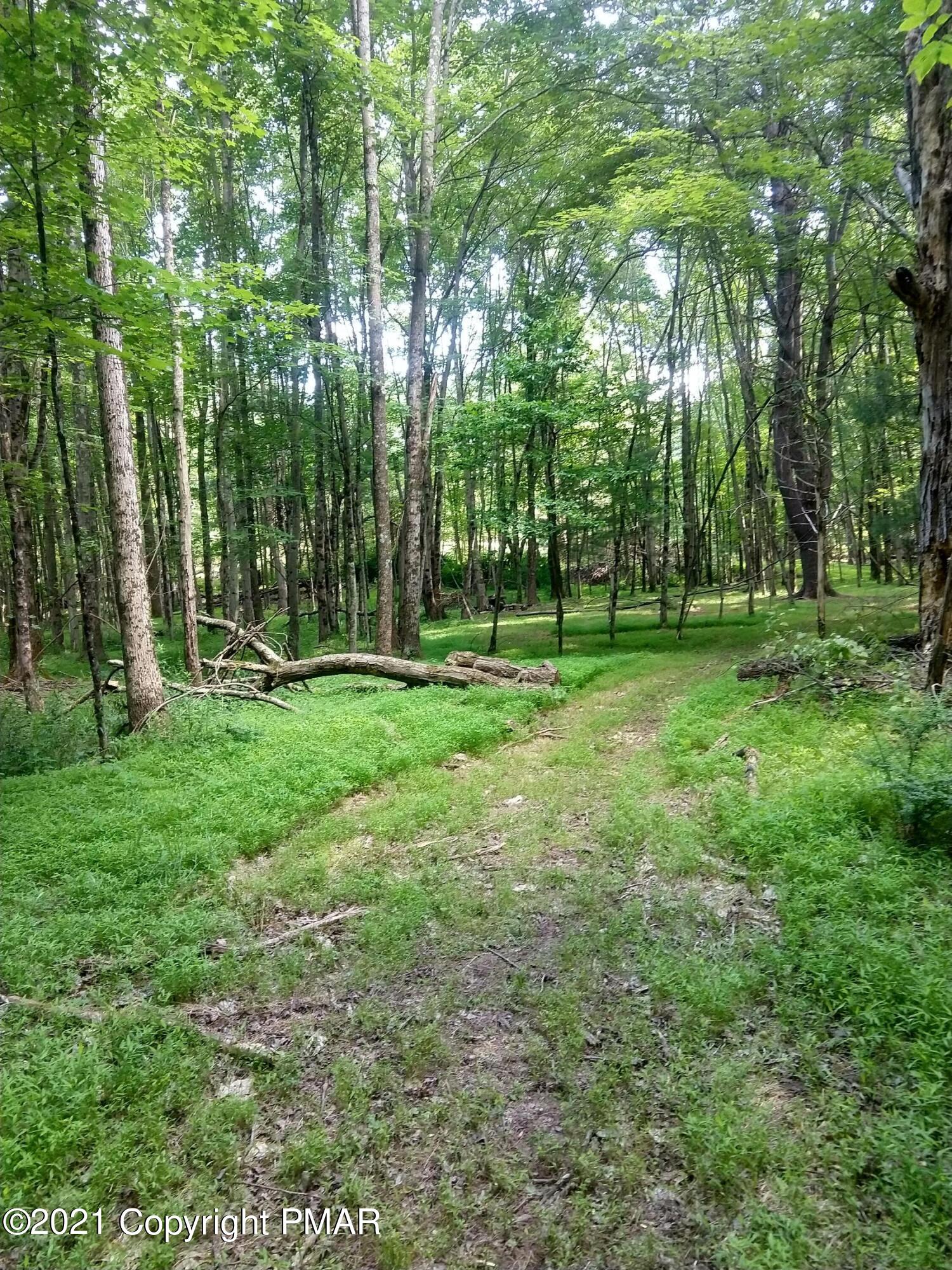 259 Hay Road Stroudsburg, PA 18360 - Photo 128 of 137 IMG_20210624_170921289_HDR