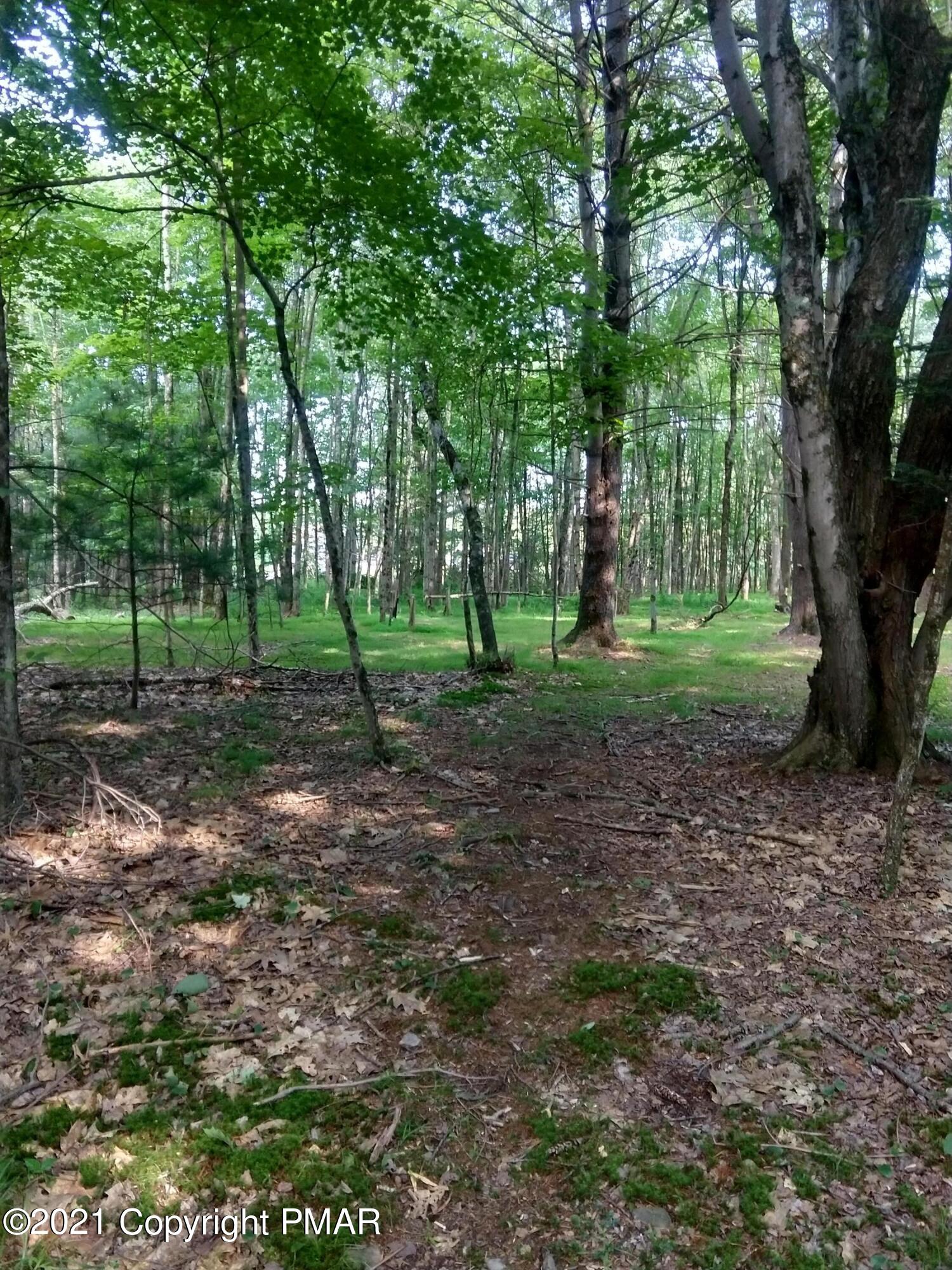 259 Hay Road Stroudsburg, PA 18360 - Photo 129 of 137 a view of outdoor space with trees