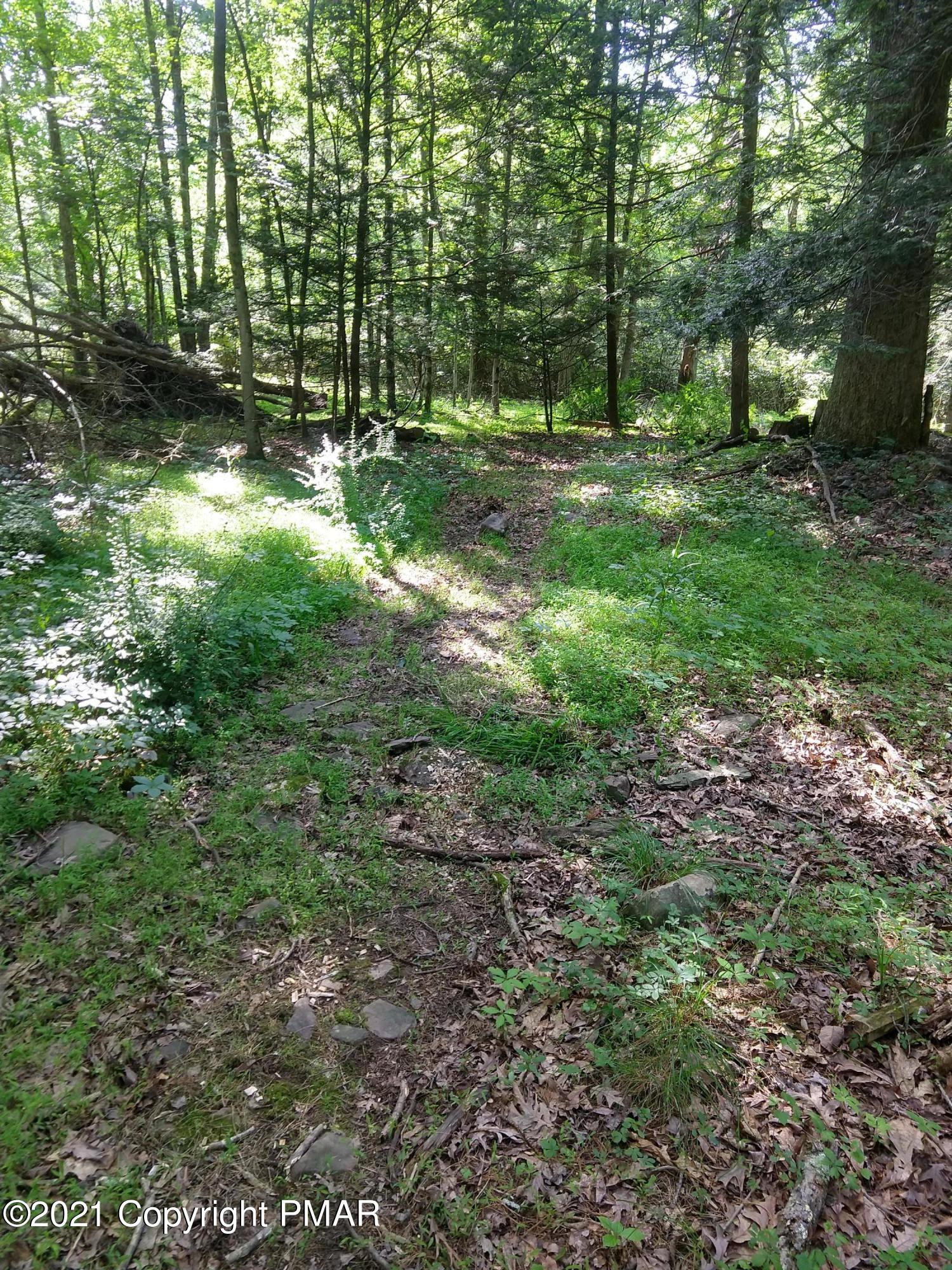 259 Hay Road Stroudsburg, PA 18360 - Photo 133 of 137 a view of a yard with a tree