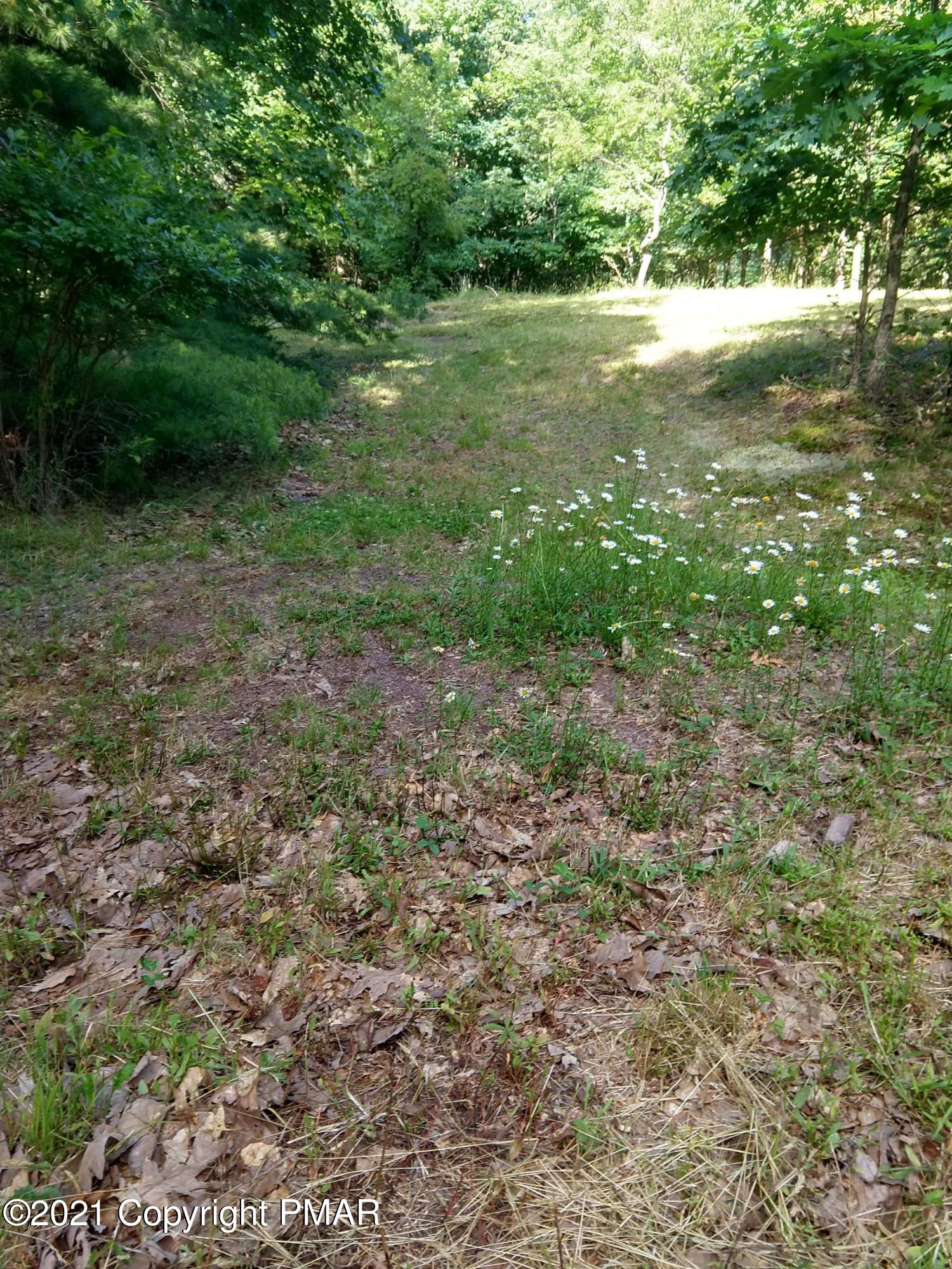 259 Hay Road Stroudsburg, PA 18360 - Photo 137 of 137 IMG_20210624_172234895_HDR