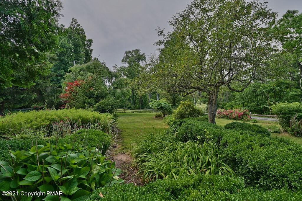 259 Hay Road Stroudsburg, PA 18360 - Photo 75 of 137 a view of a lush green forest