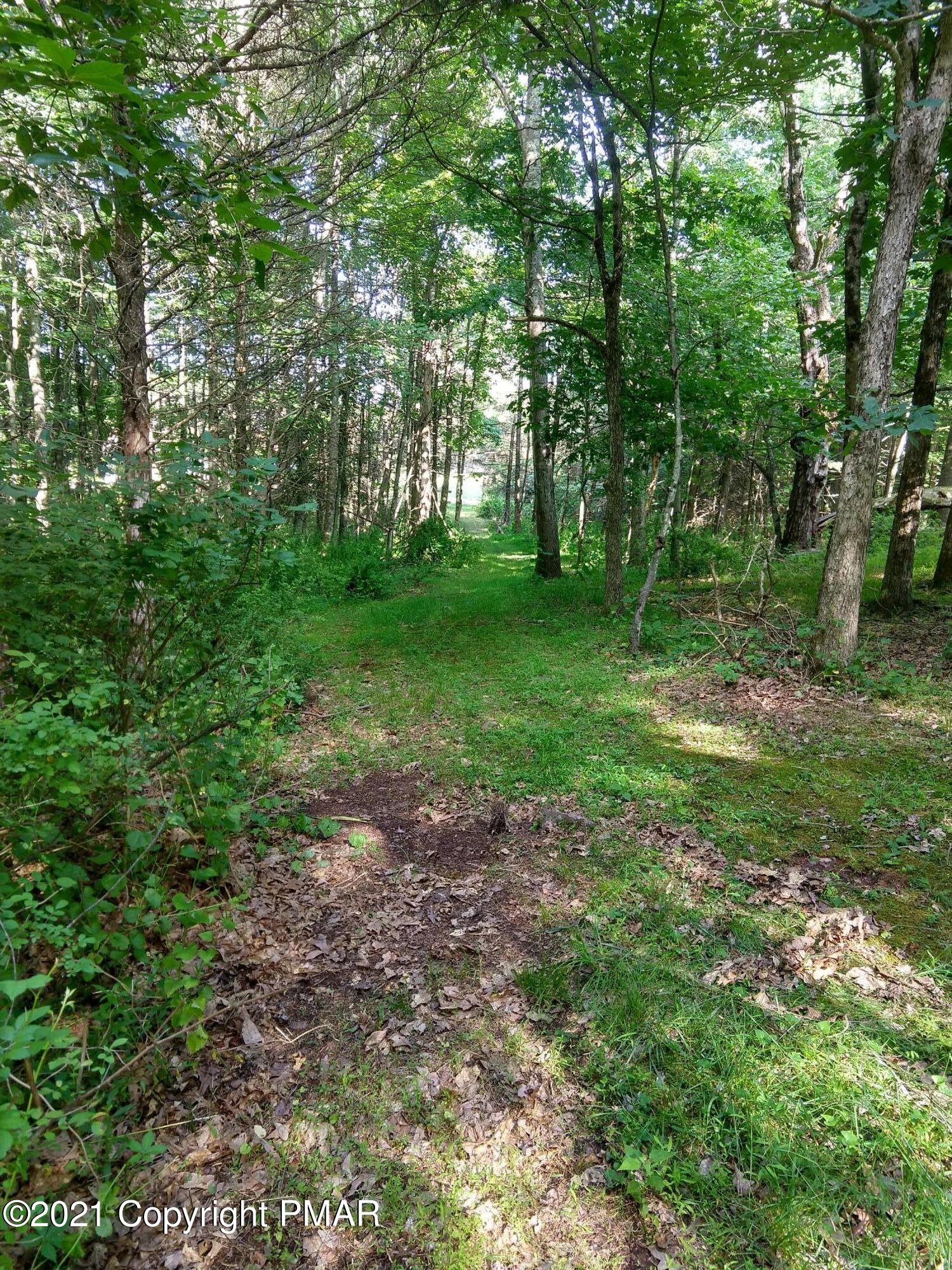 259 Hay Road Stroudsburg, PA 18360 - Photo 96 of 137 IMG_20210624_172406888_HDR